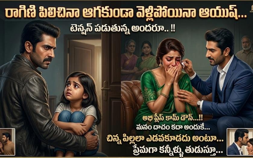 అందాల రాక్షసి{2}-113